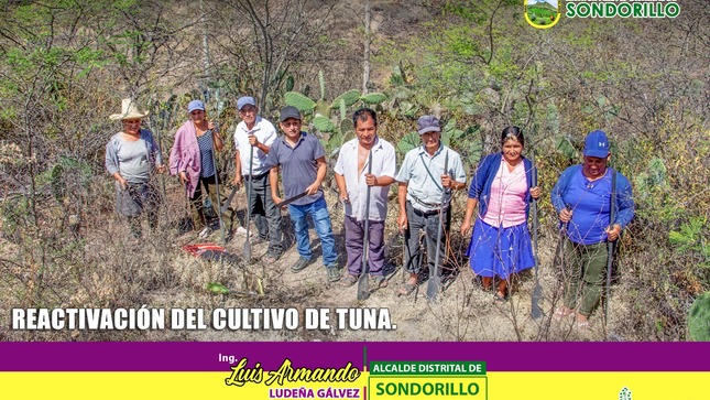 Reactivación del cultivo de Tuna, caserío La Soccha 