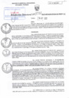 Vista preliminar de documento RD N°082