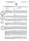 Vista preliminar de documento RD N°0101