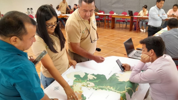 FORESTAL