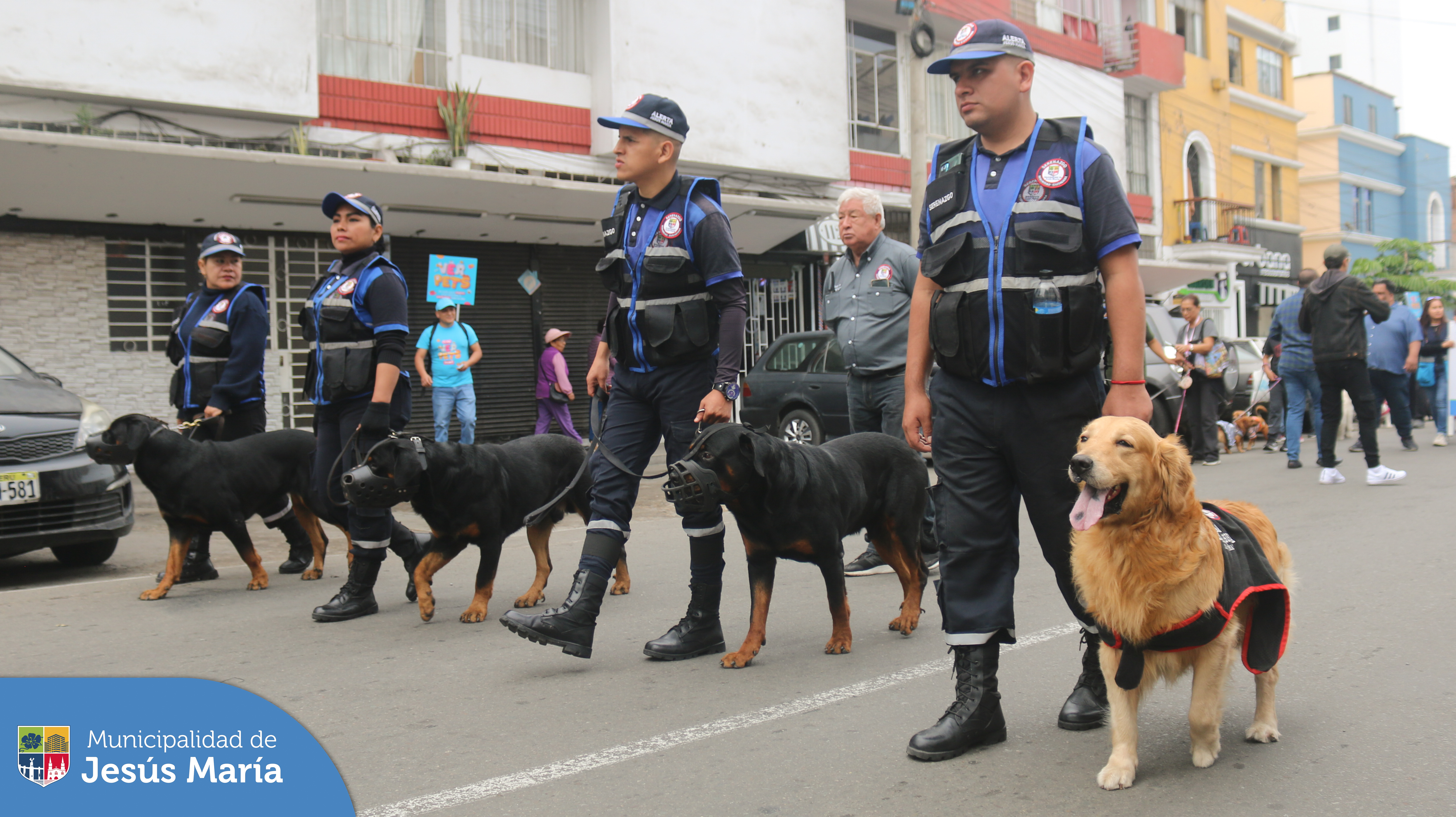 🐶 En Jesús María iniciamos el mes de las mascotas con una emotiva caminata que refleja nuestro compromiso con la tenencia responsable y el bienestar animal.
¡No te olvides! 🗓️ Este 21 y 22 de octubre tendremos la segunda edición de Pet Fest, un fin de semana donde podrás disfrutar con toda la familia de conciertos, espectáculos, comida y mucho más. Más información en https://bit.ly/3F3zHD7 😻