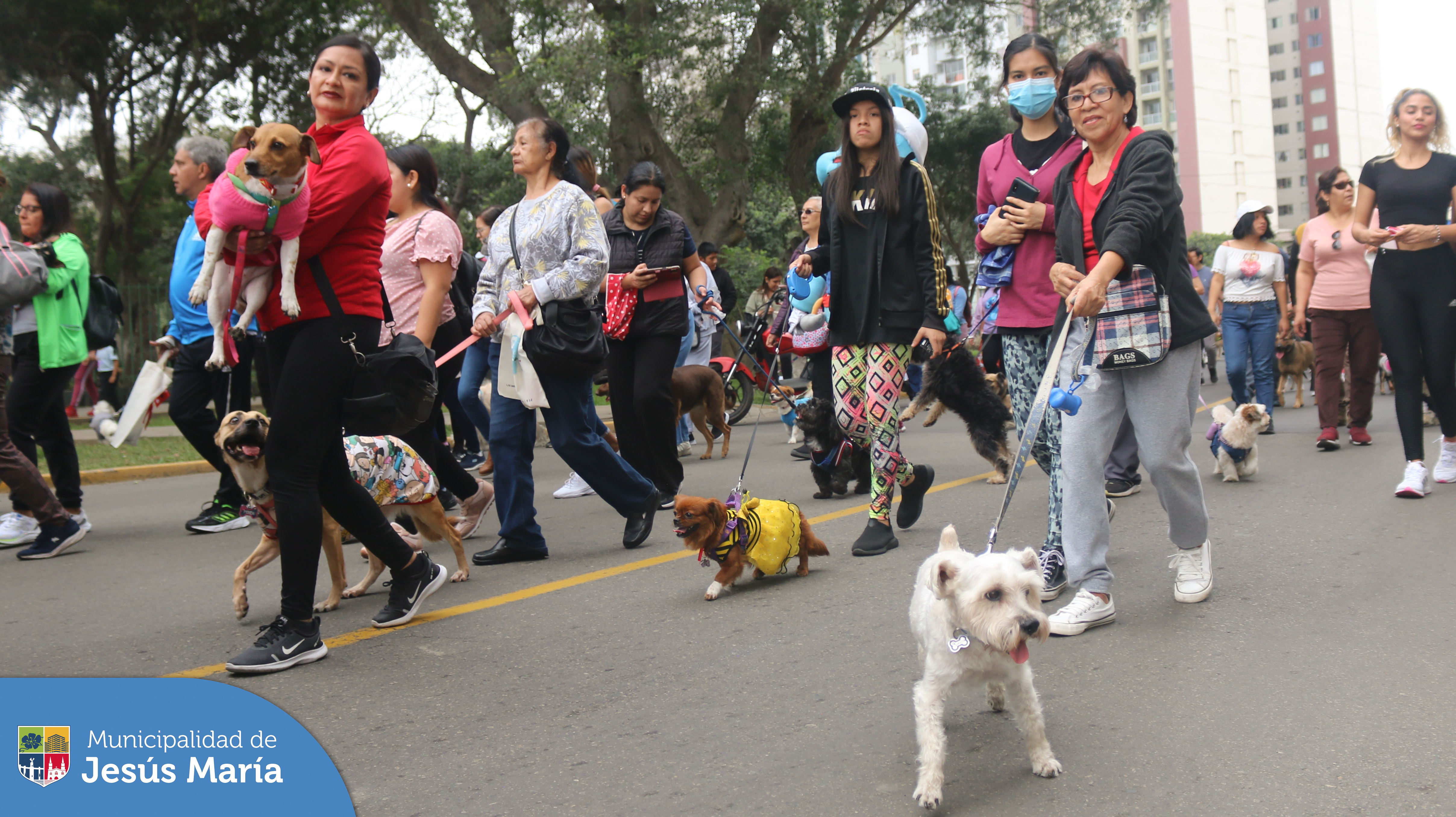 🐶 En Jesús María iniciamos el mes de las mascotas con una emotiva caminata que refleja nuestro compromiso con la tenencia responsable y el bienestar animal.
¡No te olvides! 🗓️ Este 21 y 22 de octubre tendremos la segunda edición de Pet Fest, un fin de semana donde podrás disfrutar con toda la familia de conciertos, espectáculos, comida y mucho más. Más información en https://bit.ly/3F3zHD7 😻