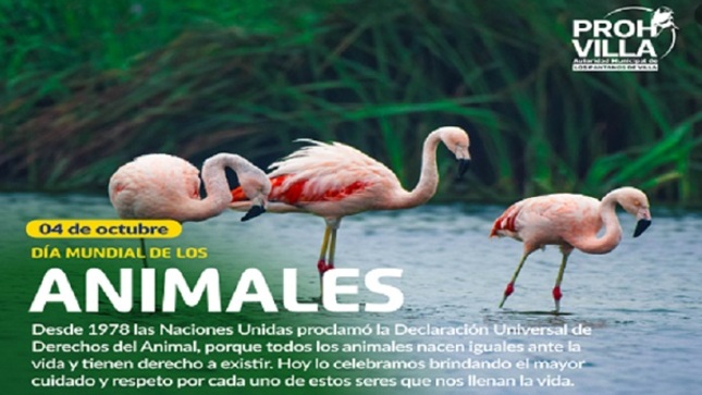 En el Día Mundial de los Animales, celebramos la biodiversidad en su máxima expresión