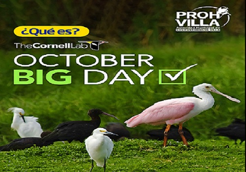 ¡Se aproxima el Global Big Day!