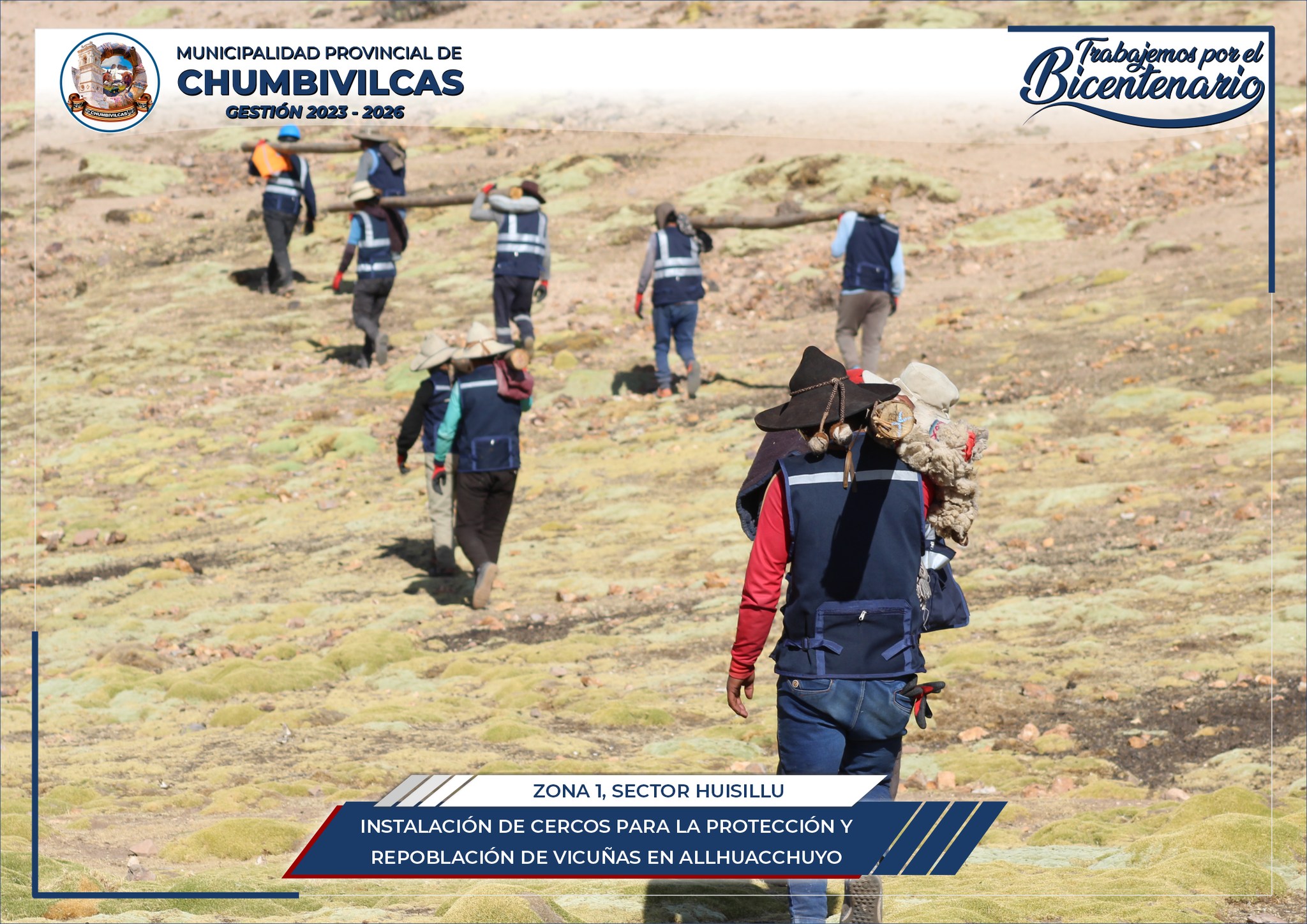 Chumbivilcas: Instalación de cercos para la protección y repoblación de vicuñas en Allhuacchuyo del distrito de Santo Tomás