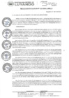 Vista preliminar de documento Resolucion de Alcaldia Nº 113