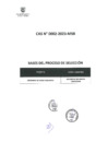Vista preliminar de documento BASES 