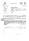 Vista preliminar de documento PERFIL DE PUESTO 