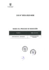 Vista preliminar de documento BASES 