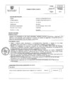 Vista preliminar de documento PERFIL DE PUESTO 