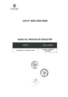 Vista preliminar de documento BASES 