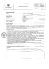 Vista preliminar de documento PERFIL DE PUESTO 