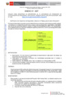 Vista preliminar de documento ANEXO OFICIO MÚLTIPLE 177 – 2023