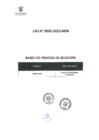 Vista preliminar de documento BASES