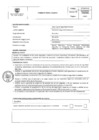 Vista preliminar de documento PERFIL DE PUESTO