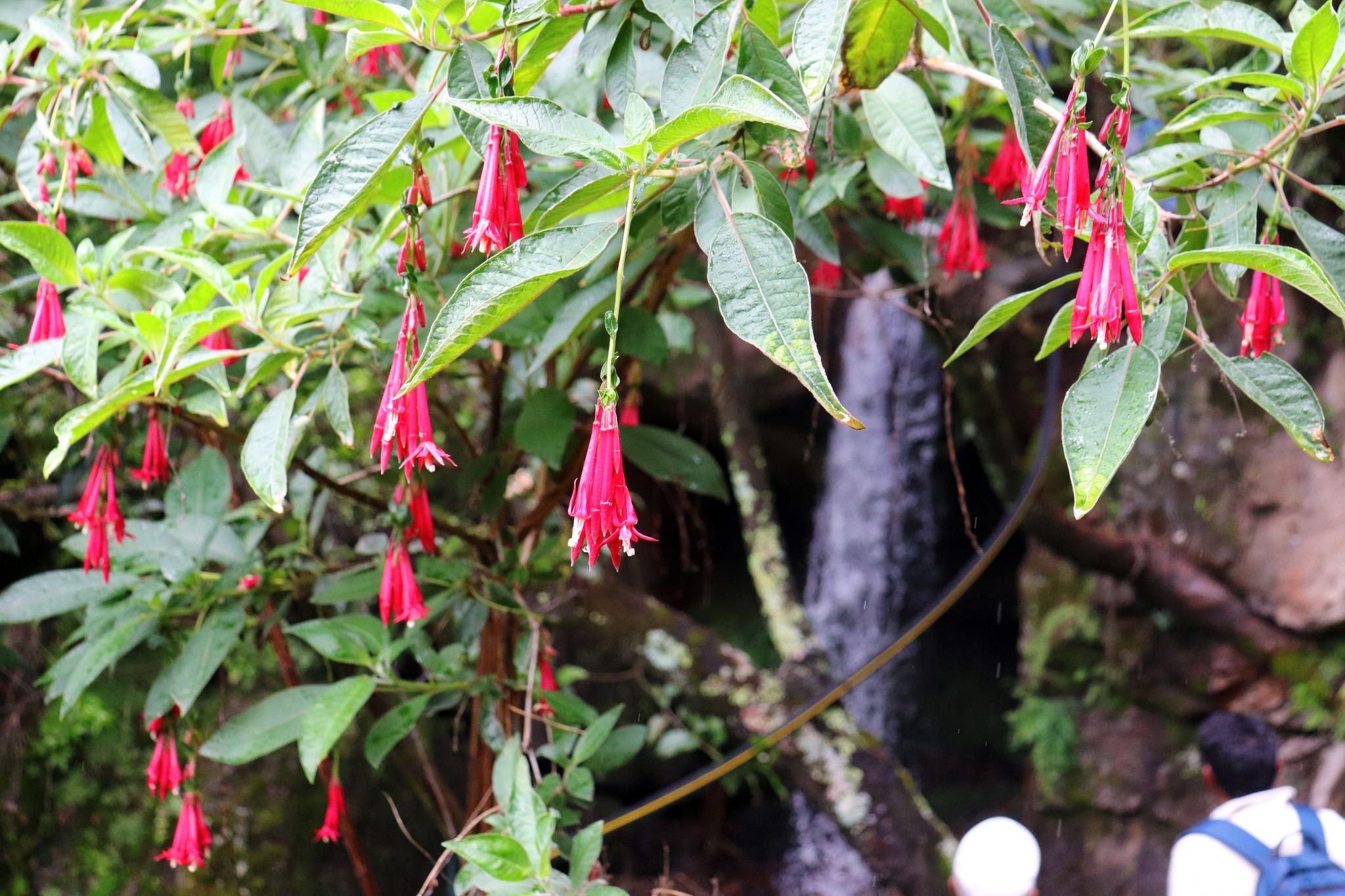 Catarata de Tomacucho