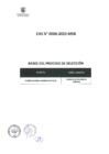 Vista preliminar de documento BASES