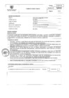 Vista preliminar de documento PERFIL DE PUESTO