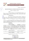 Vista preliminar de documento RESOLUCION N° 09