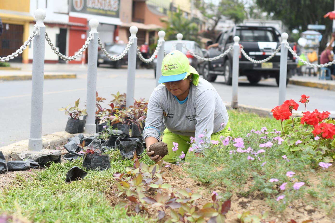 Personal municipal resaltando la belleza del distrito