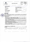 Vista preliminar de documento PERFIL PROCESO N°16
