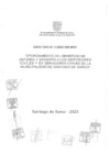 Vista preliminar de documento Directiva N.° 003-2023-MSS