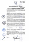 Vista preliminar de documento DA 011-2023-MPHH