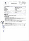 Vista preliminar de documento PERFIL