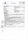 Vista preliminar de documento PERFIL
