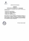 Vista preliminar de documento COMUNICADO