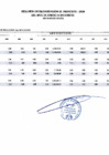 Vista preliminar de documento saldos_balance_2020