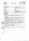 Vista preliminar de documento PERFIL