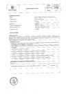 Vista preliminar de documento PERFIL PROCESO N°30