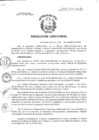 Vista preliminar de documento RD N° 422-2019-HCH-DG