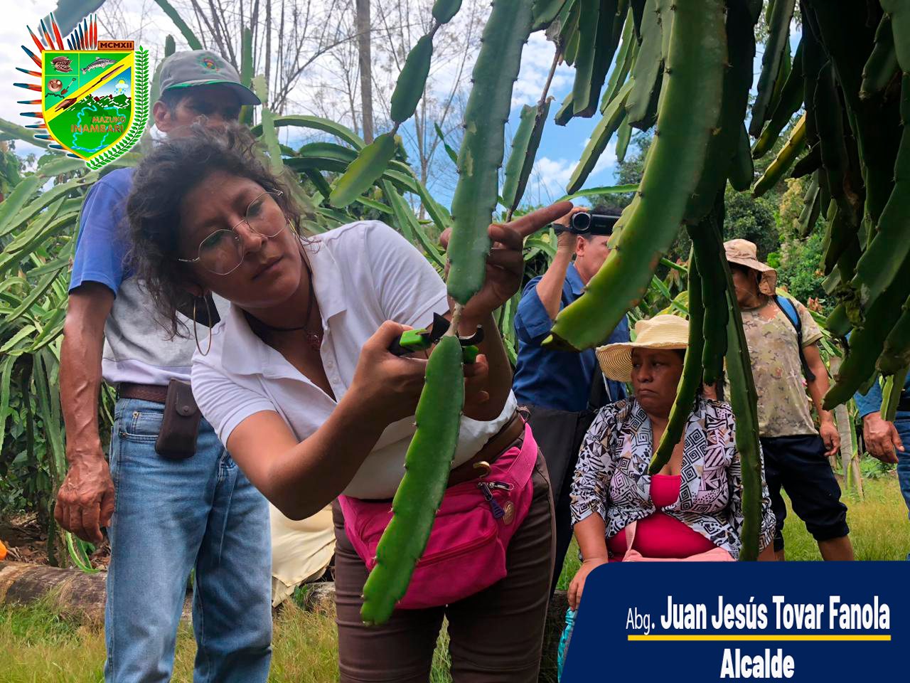capacitacion