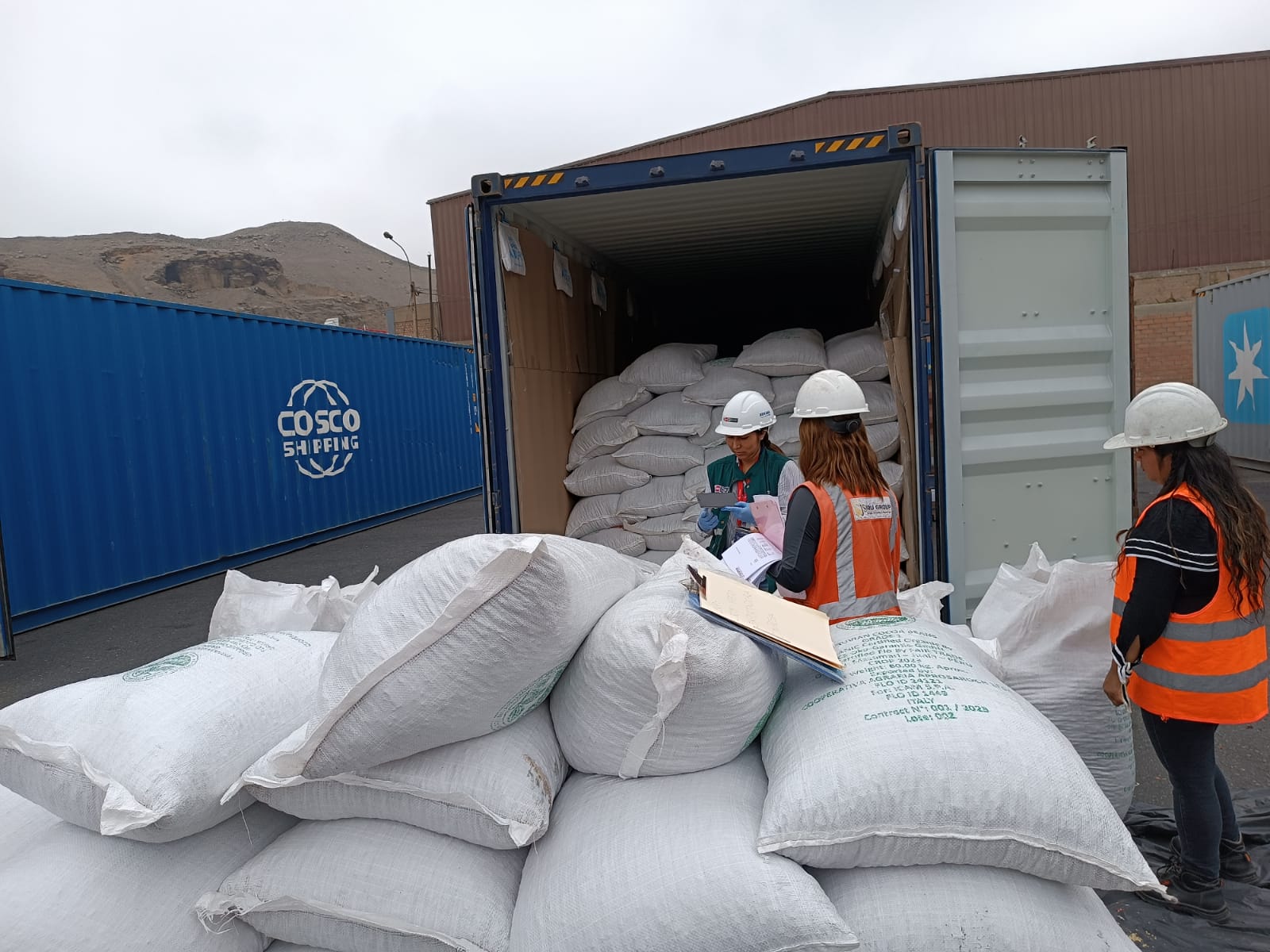 Junín: Productores de Mazamari exportan 25 toneladas de cacao a Italia