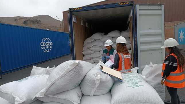 Junín: Productores de Mazamari exportan 25 toneladas de cacao a Italia