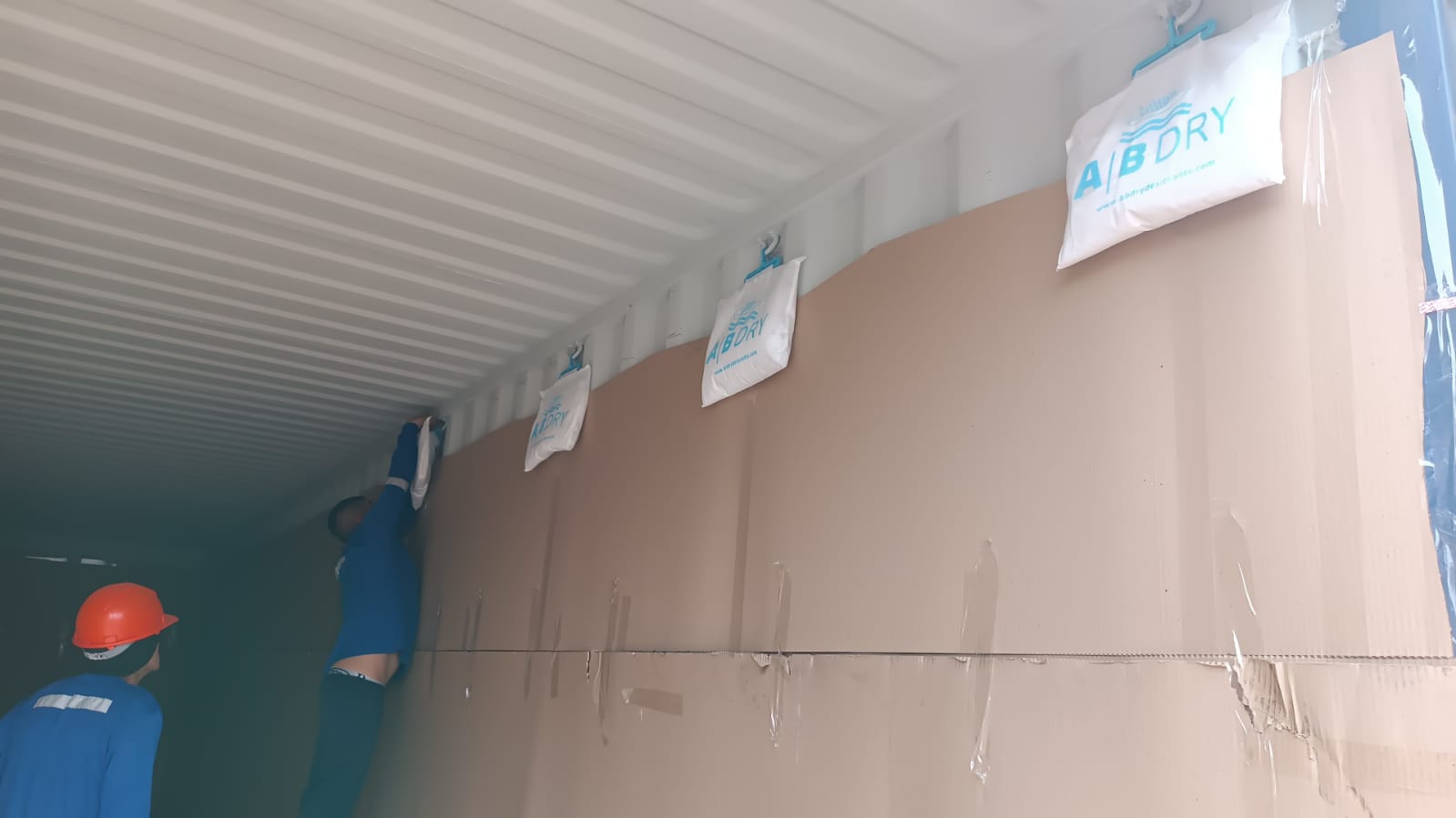 Junín: Productores de Mazamari exportan 25 toneladas de cacao a Italia