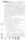 Vista preliminar de documento II ADENDA GORE LIMA REGION