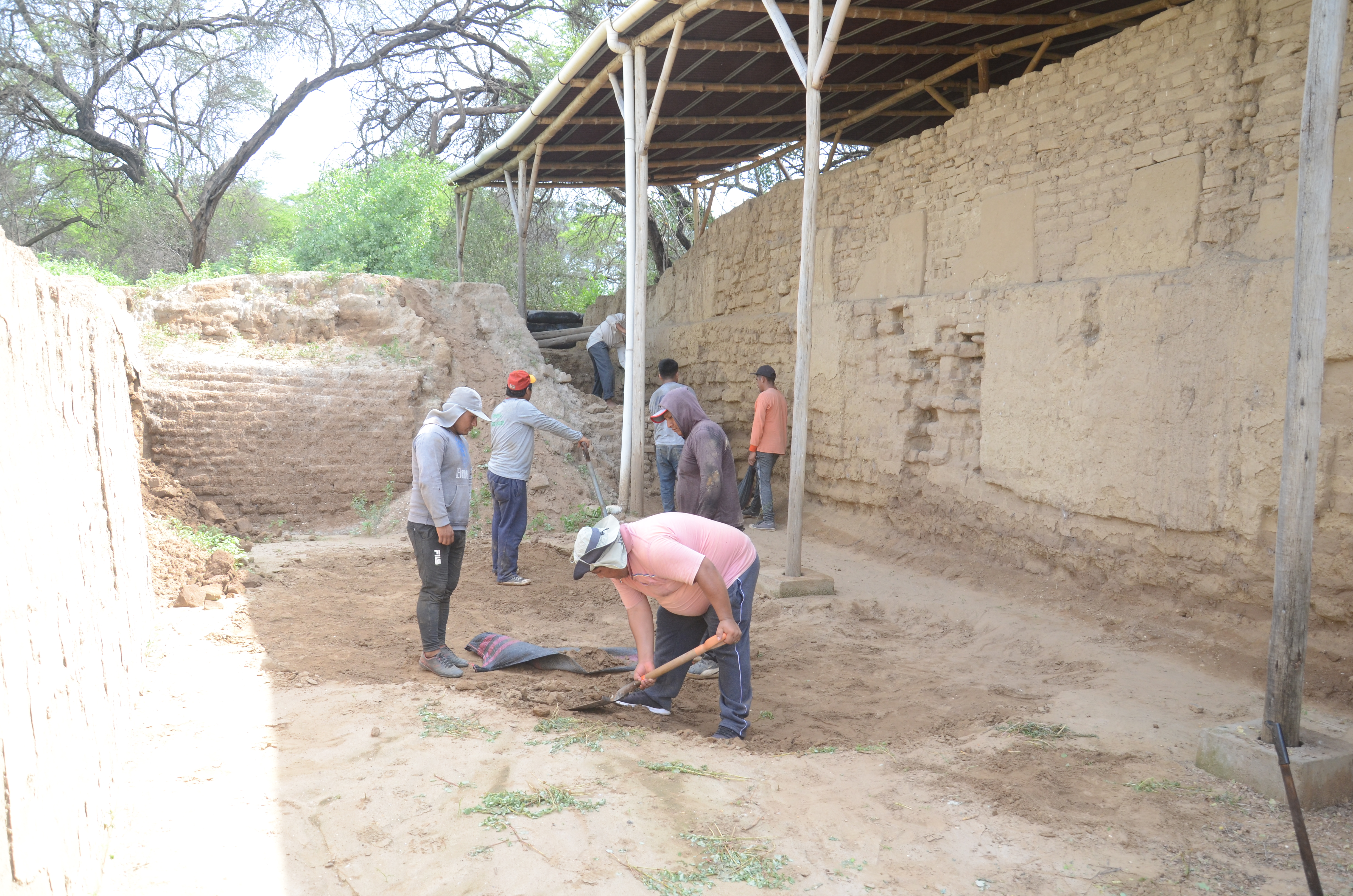 Limpieza manual de muro almenado en  Huaca Las Ventanas de Pómac - UE005 Naylamp MC