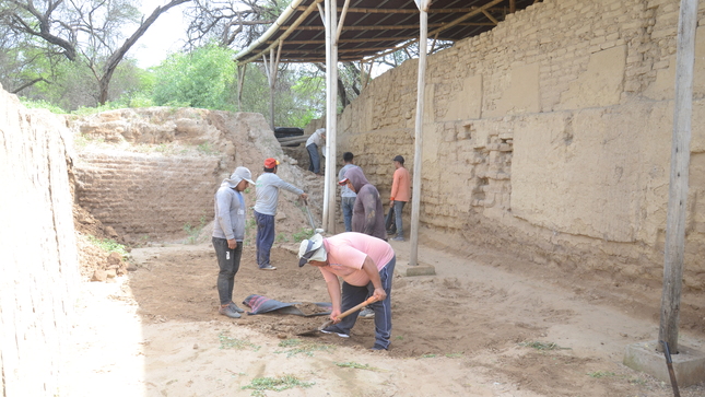 Limpieza manual de muro almenado en  Huaca Las Ventanas de Pómac - UE005 Naylamp MC