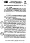 Vista preliminar de documento RDR028-2023-GRU-ARAU