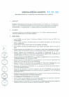 Vista preliminar de documento Directiva