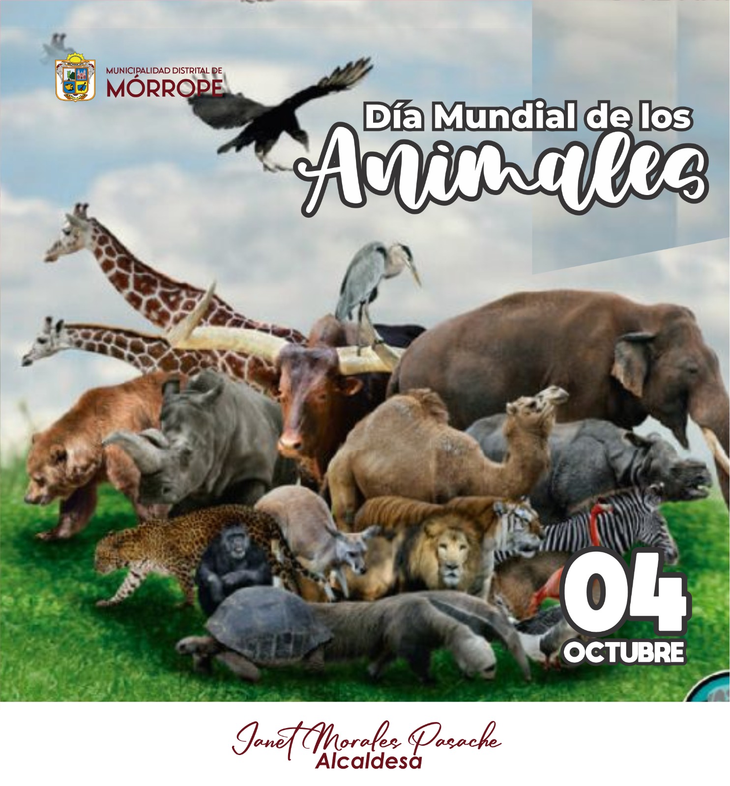 ANIMALES