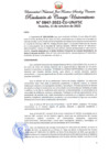 Vista preliminar de documento Resolución de Consejo Universitario