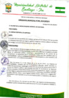 Vista preliminar de documento Ordenanza Municipal 8