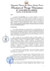 Vista preliminar de documento Resolución de Consejo Universitario