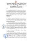 Vista preliminar de documento Resolución de Consejo Universitario