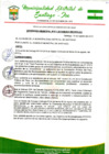 Vista preliminar de documento Ordenanza Municipal 11