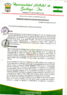 Vista preliminar de documento Ordenanza Municipal 13